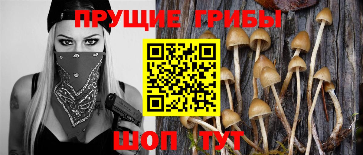 Галлюциногенные грибы Magic Shrooms  Вход с VPN  Югорск 